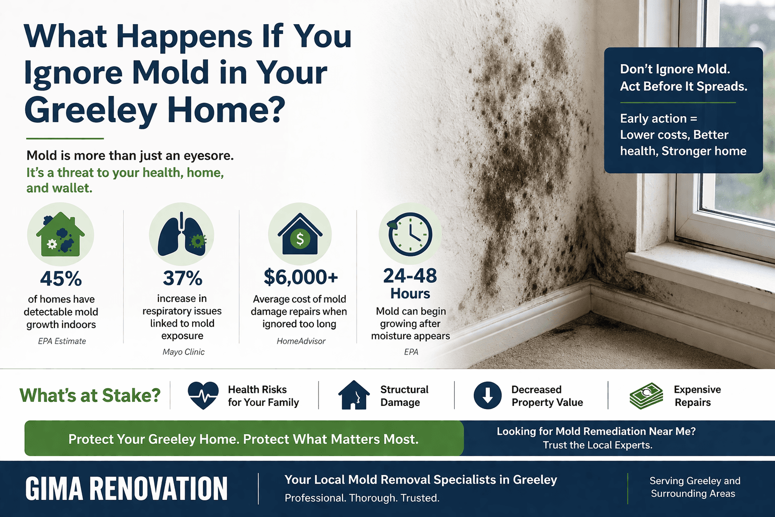 Mold growth discovered in a Greeley home — Gima Renovation